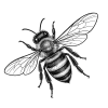 Realistic Bee SVG