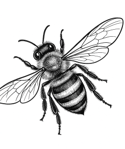 Realistic Bee SVG